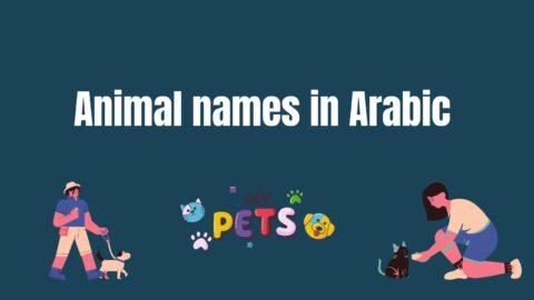 Animals names in Arabic