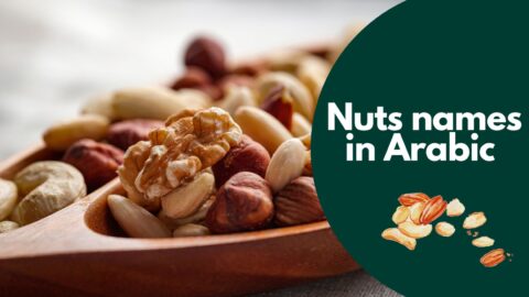 Nuts names in Arabic