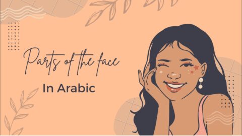 Face Parts in Arabic
