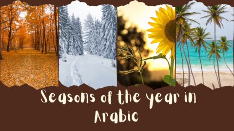 Seasons of the year in Arabic