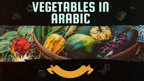 Vegetables names in Arabic